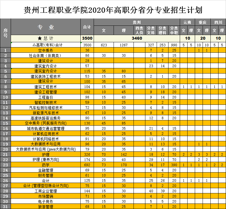 银河正规官网2020年高职分省分专业招生计划(图1)