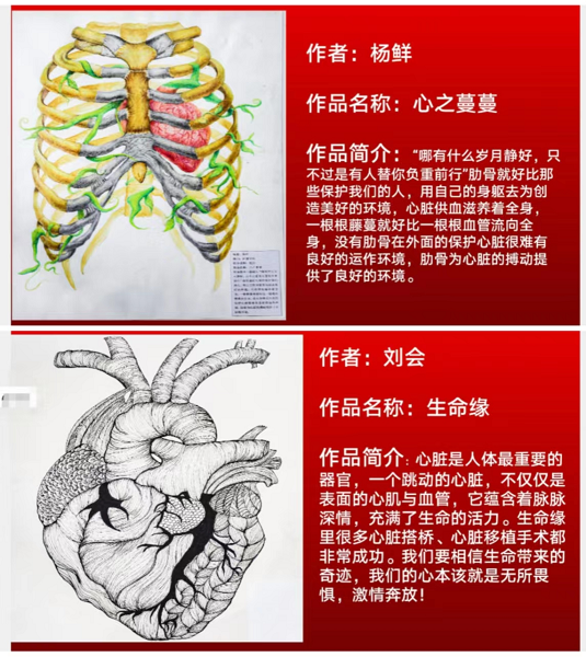 弘扬解剖文化 推动医学科普 ——我院召开第一届人体解剖绘图大赛表彰大会暨 2022年职业教育活动周总结会(图6)